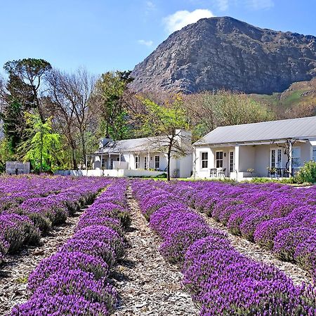 Lavender Farm Boutique Guest House フランシュホーク エクステリア 写真