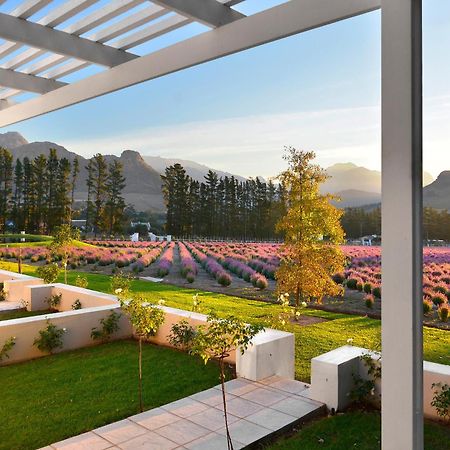 Lavender Farm Boutique Guest House フランシュホーク エクステリア 写真