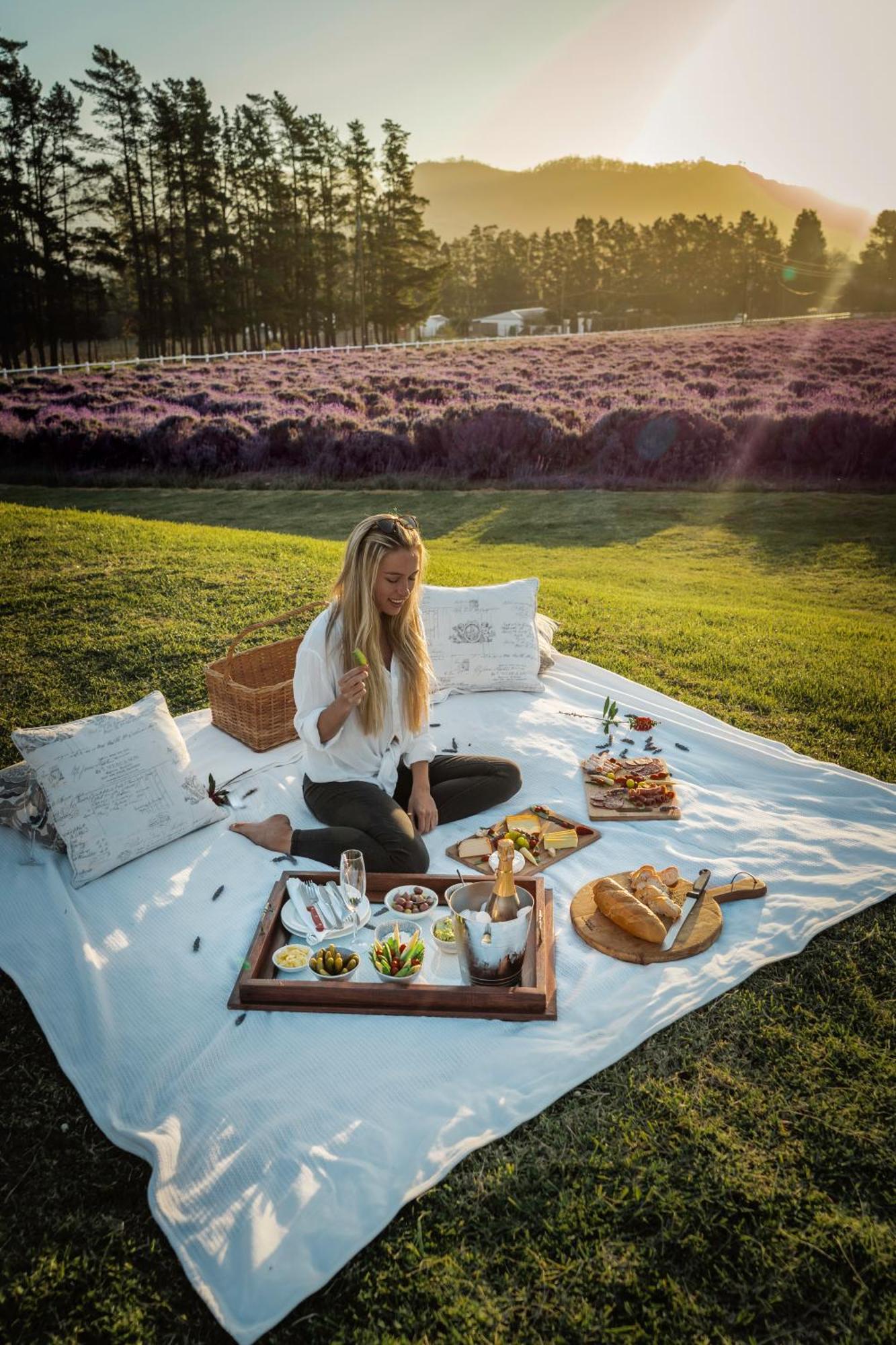 Lavender Farm Boutique Guest House フランシュホーク エクステリア 写真