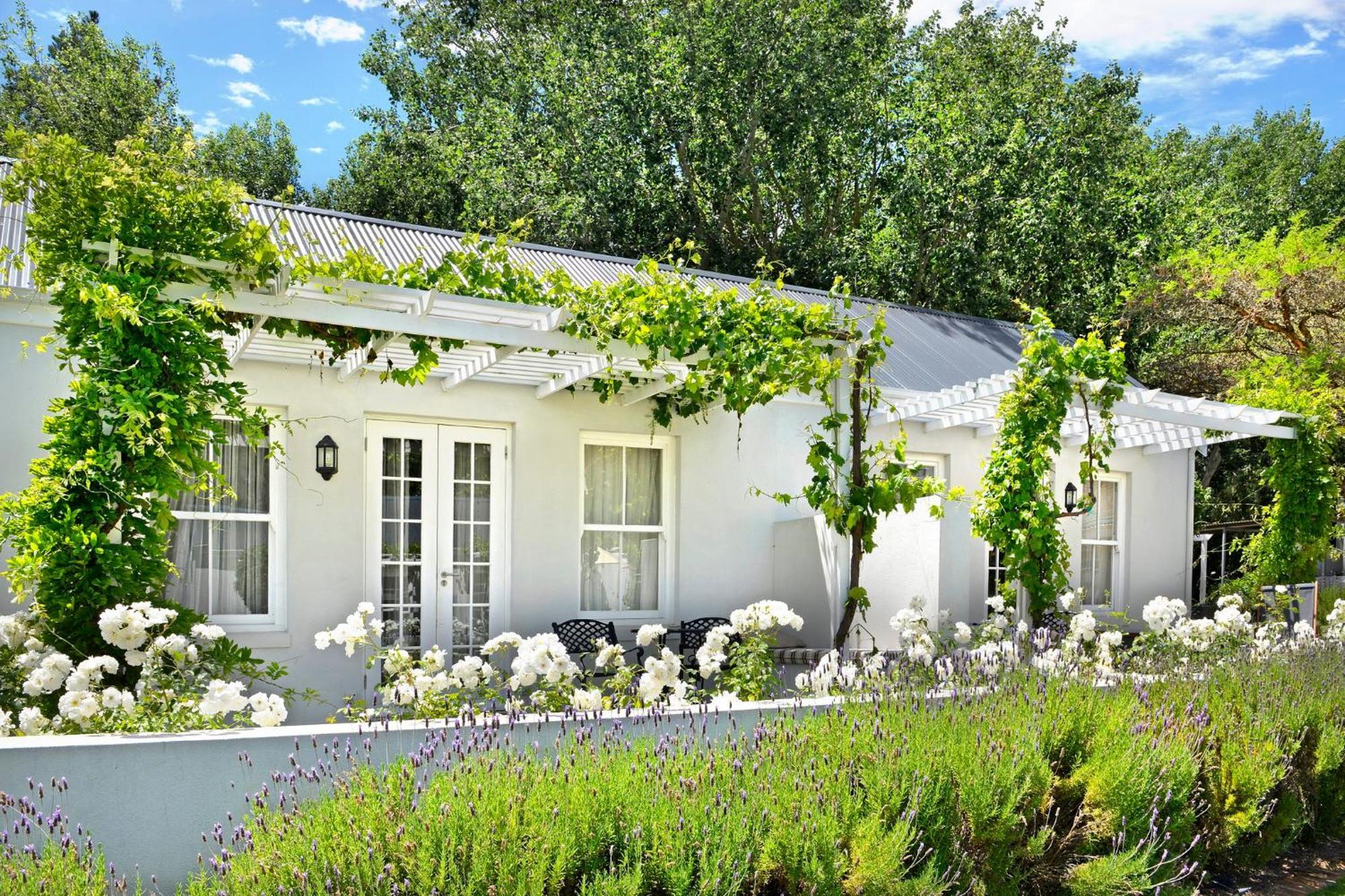 Lavender Farm Boutique Guest House フランシュホーク エクステリア 写真