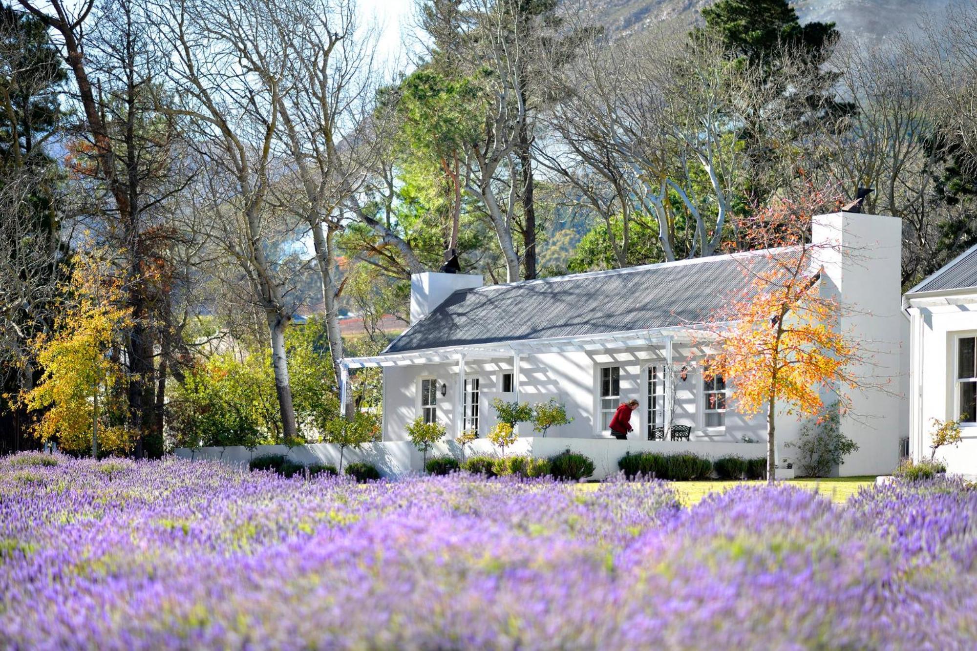 Lavender Farm Boutique Guest House フランシュホーク エクステリア 写真