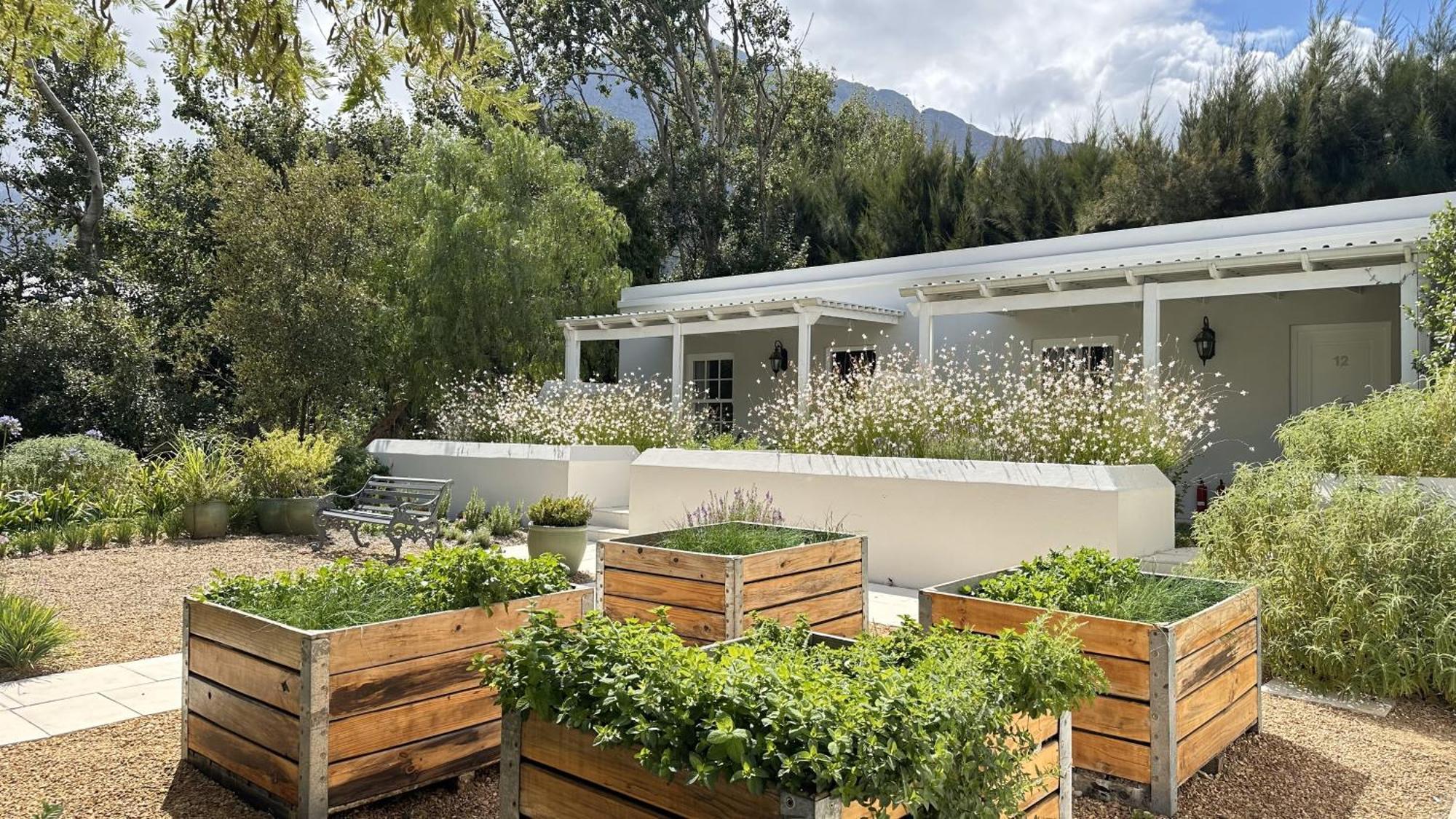 Lavender Farm Boutique Guest House フランシュホーク エクステリア 写真